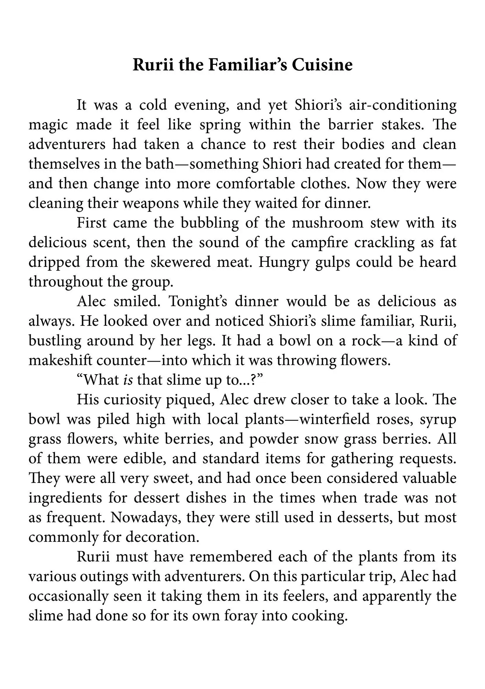Life in Another World as a Housekeeping Mage Chapter 18.6 2